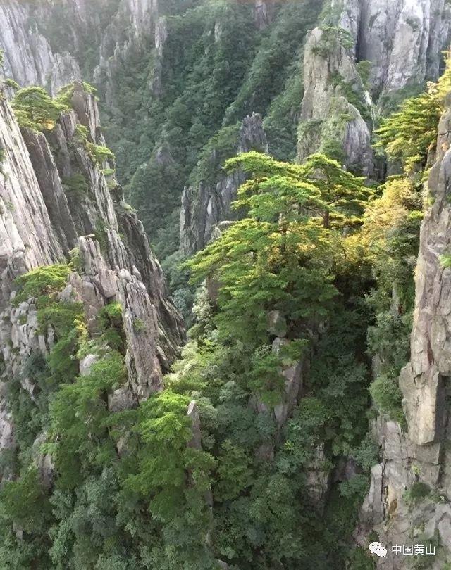 新仙剑奇侠传